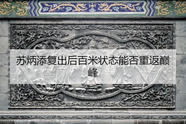 su-bing-tian-fu-chu-hou-bai-mi-zhuang-tai-neng-fou-chong-fan-dian-feng-2-879.jpg