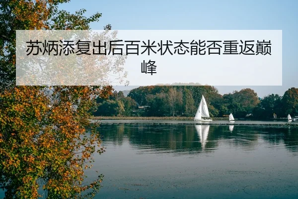 su-bing-tian-fu-chu-hou-bai-mi-zhuang-tai-neng-fou-chong-fan-dian-feng-3-192.jpg