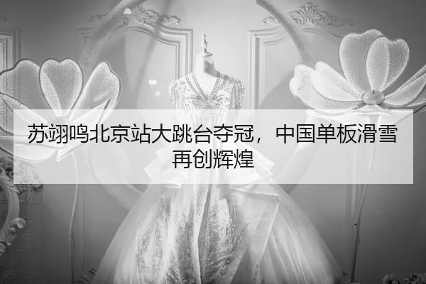 su-yi-ming-bei-jing-zhan-da-tiao-tai-duo-guan-zhong-guo-dan-ban-hua-xue-zai-chuang-hui-huang-2-615.jpg