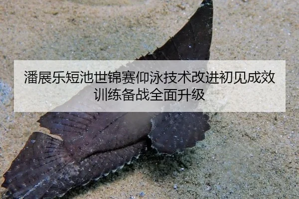 pan-zhan-le-duan-chi-shi-jin-sai-yang-yong-ji-shu-gai-jin-chu-jian-cheng-xiao-xun-lian-bei-zhan-quan-mian-sheng-ji-3-211.jpg