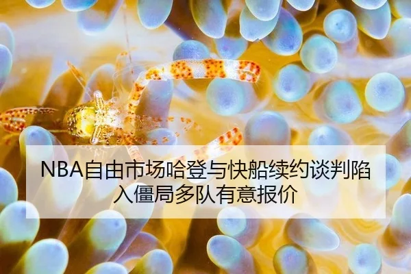zi-you-shi-chang-ha-deng-yu-kuai-chuan-xu-yue-tan-pan-xian-ru-jiang-ju-duo-dui-you-yi-bao-jia-2-163.jpg