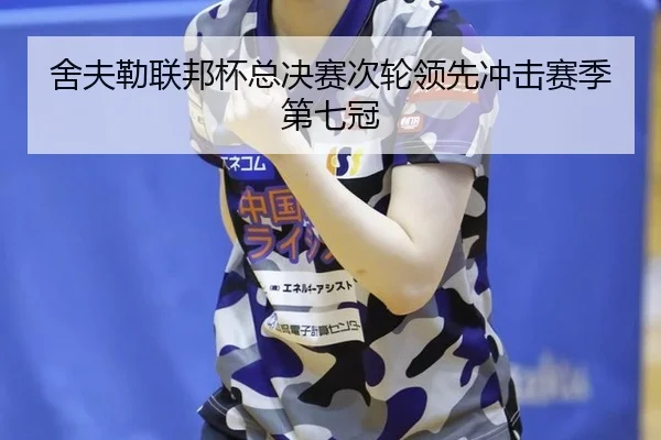 she-fu-lei-lian-bang-bei-zong-jue-sai-ci-lun-ling-xian-chong-ji-sai-ji-di-qi-guan-2-772.jpg