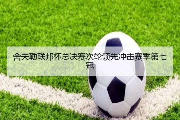舍夫勒联邦杯总决赛次轮领先冲击赛季第七冠