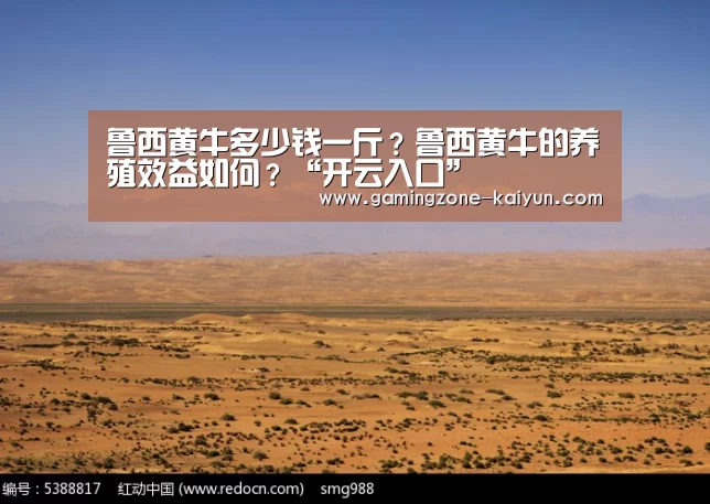 鲁西黄牛多少钱一斤？鲁西黄牛的养殖效益如何？“开云入口”